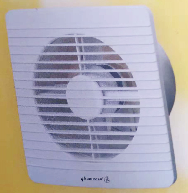 金羚6寸.jpg